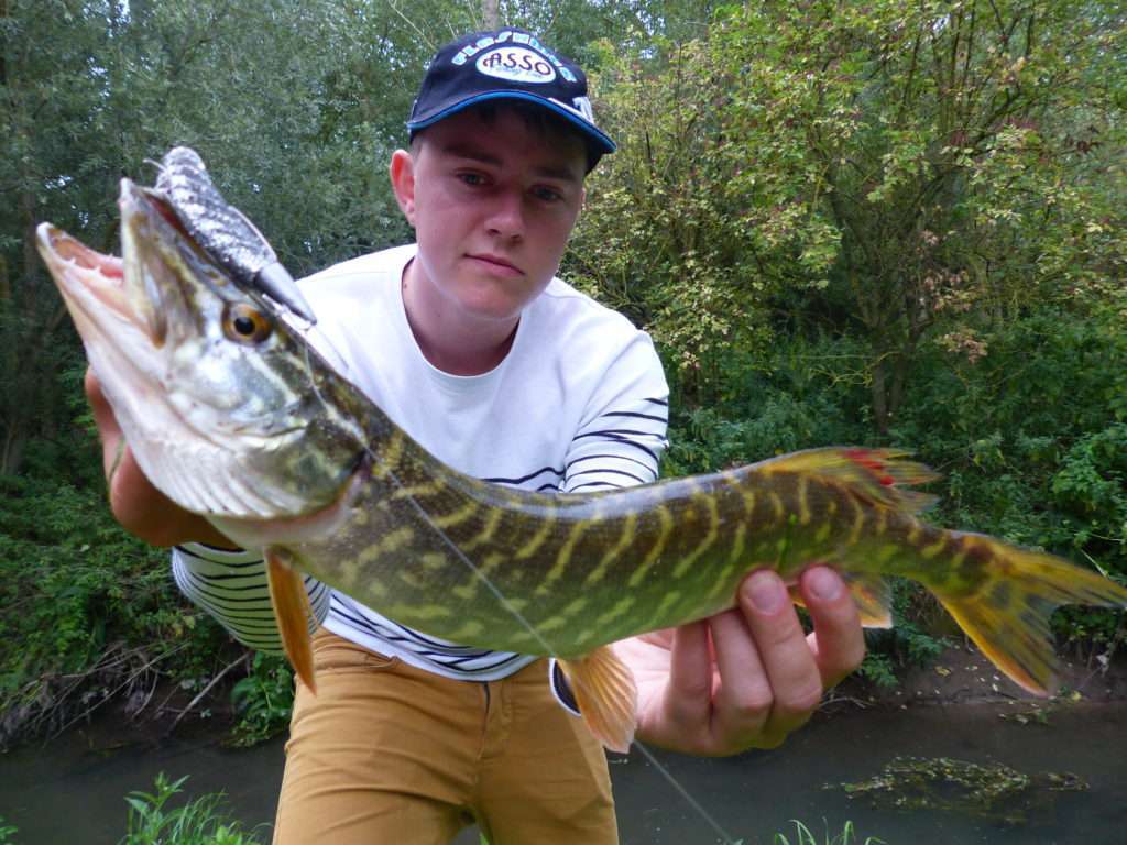 Le Pulse Yum est très efficace sur le brochet