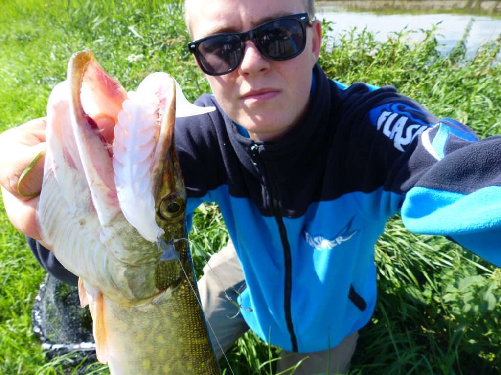 Brochet pris avec un Pulse Yum monté sur une tête plombée sabot