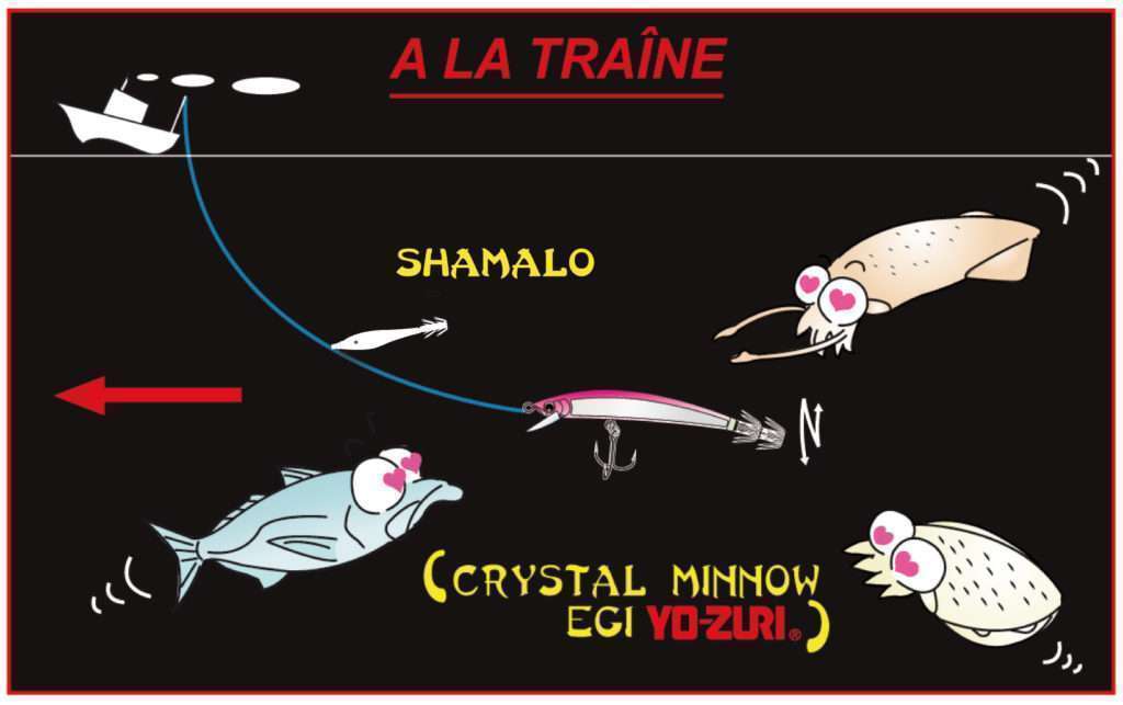 La turlutte Shamalo peut être utilisée devant un Crystal Minnow Egi à la traîne. 