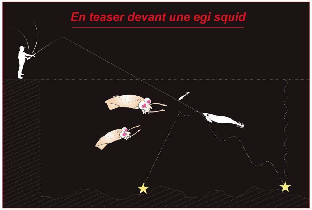 En teaser devant une egi squid