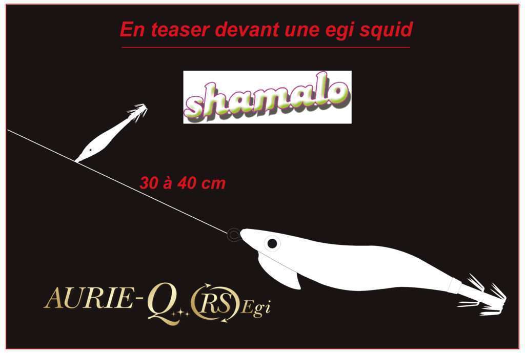 En teaser devant une egi squid