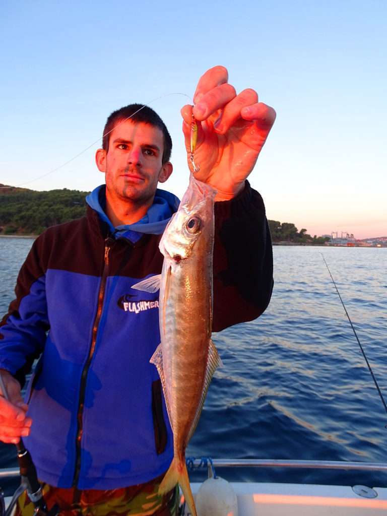 Choisir ses perles flottantes en fonction du poisson - Sunset Fishing