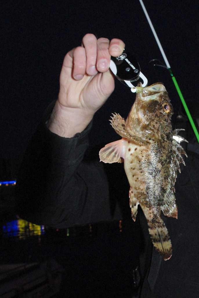 Un petit fish grip est sécurisant pour manipuler la rascasse qui est venimeuse