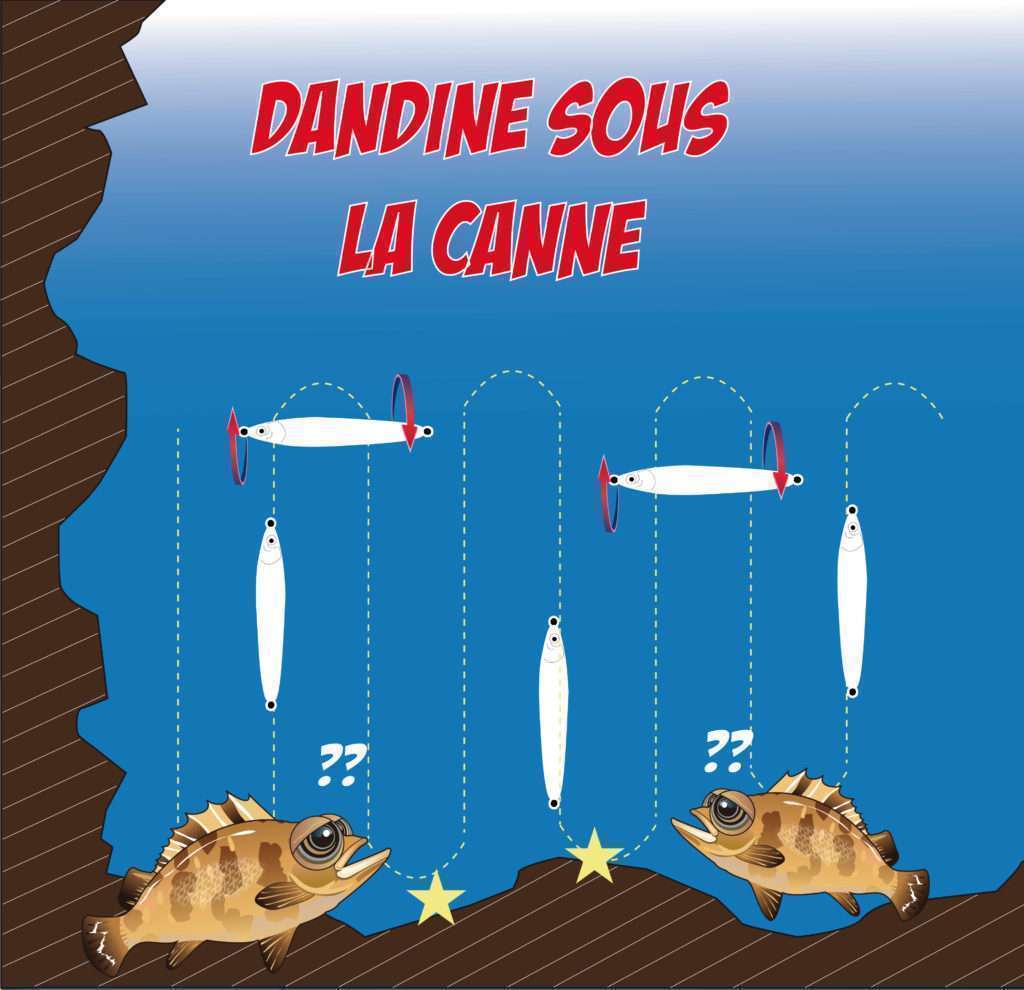 Dandine sous la canne