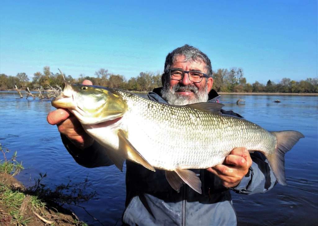 Le rangement, c'est maintenant - Peche et Poissons  Carnassiers, carpe,  truite, mer, coup… Toute l'actu de la pêche