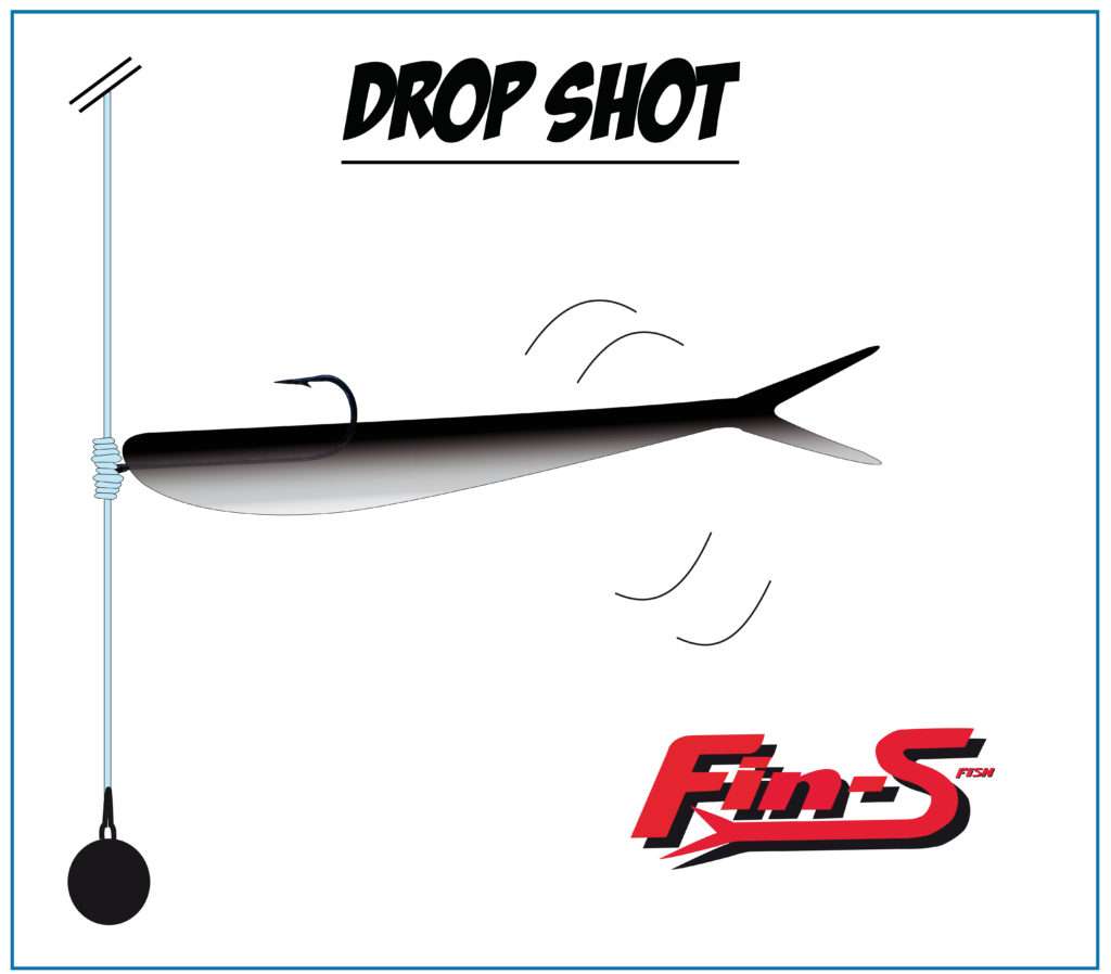 Drop shot avec un Fin’s Fish