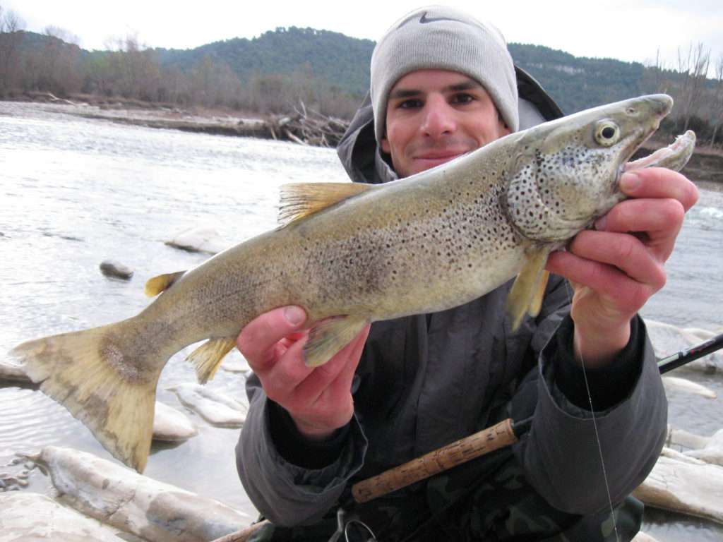 Belle truite prise en grande rivière par Etienne