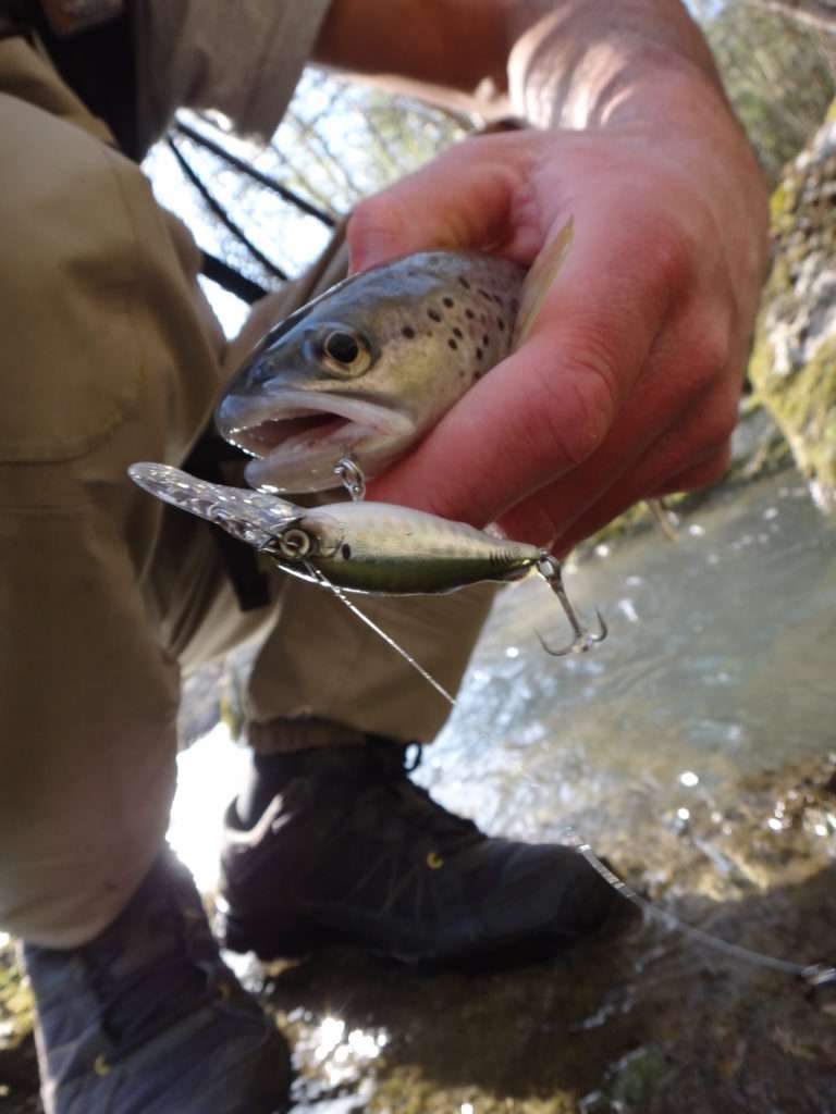 L’Eba Shad est parfait pour prospecter les pools profonds en dents de scie