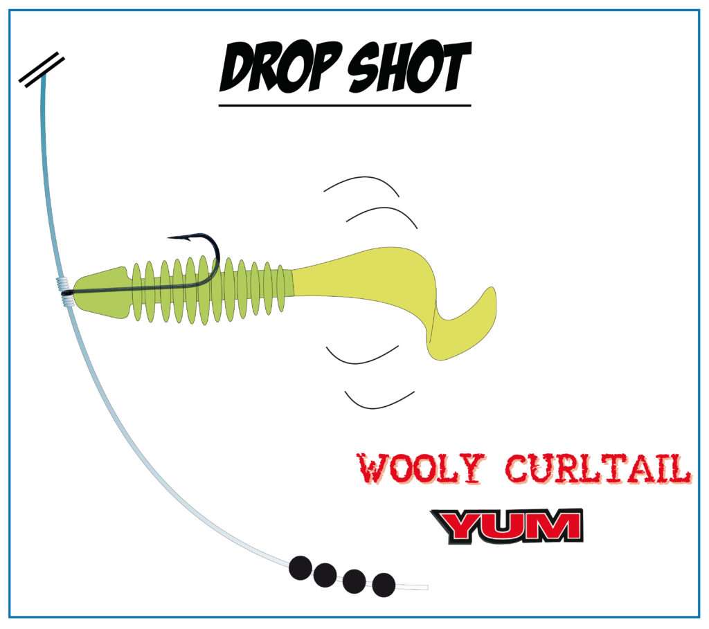 Drop shot en longues coulées avec un Wooly Curltail Bass Assassin