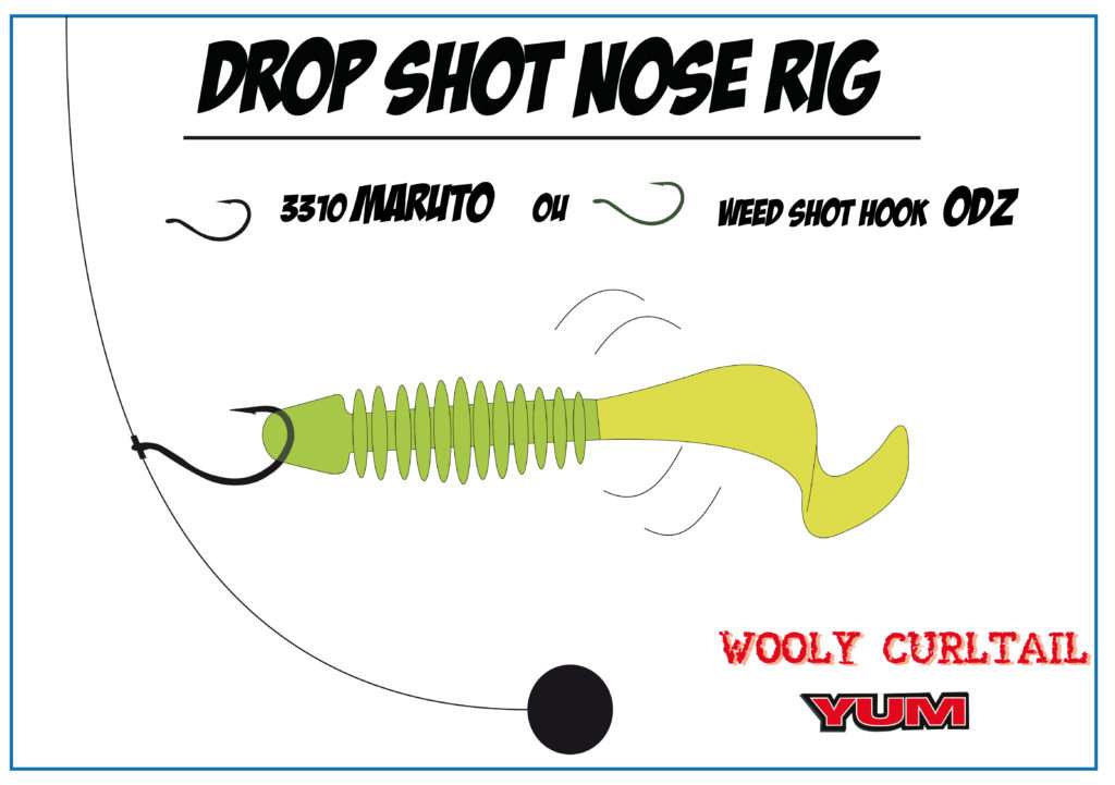 Drop shot nose rig avec un Wooly Curltail Bass Assassin