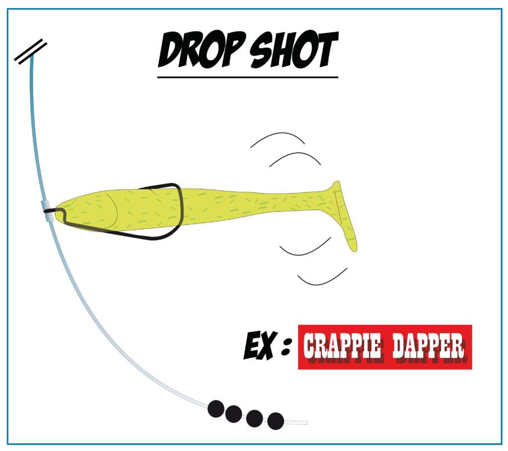 Drop shot texas rig avec un Crappie Dapper Bass Assassin