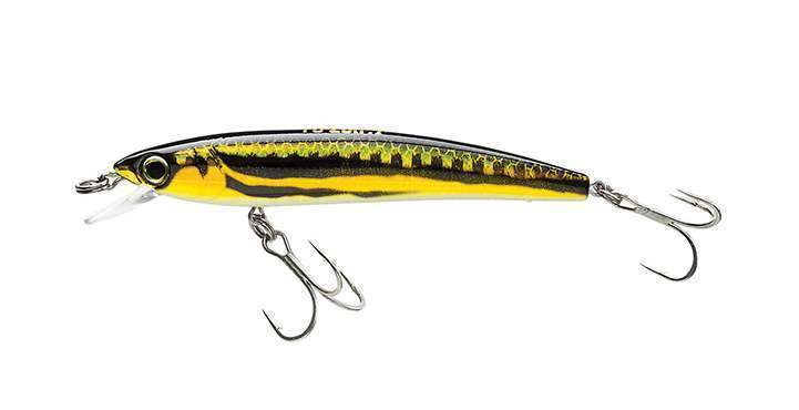 le coloris Gold Flame du Pin’s Minnow Sinking