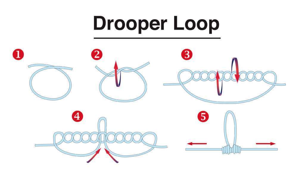 Nœud Drooper loop