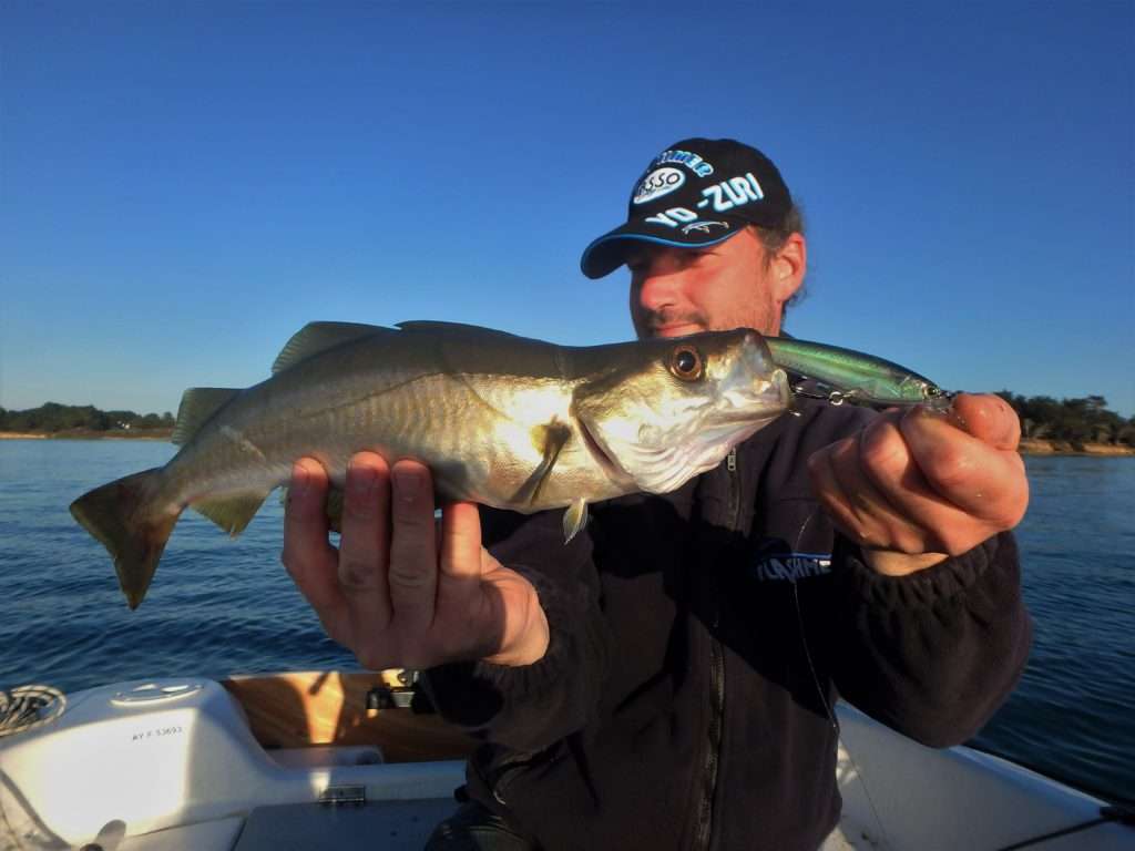 En mer, le 3DR Minnow s’est révélé également très efficace sur les lieus