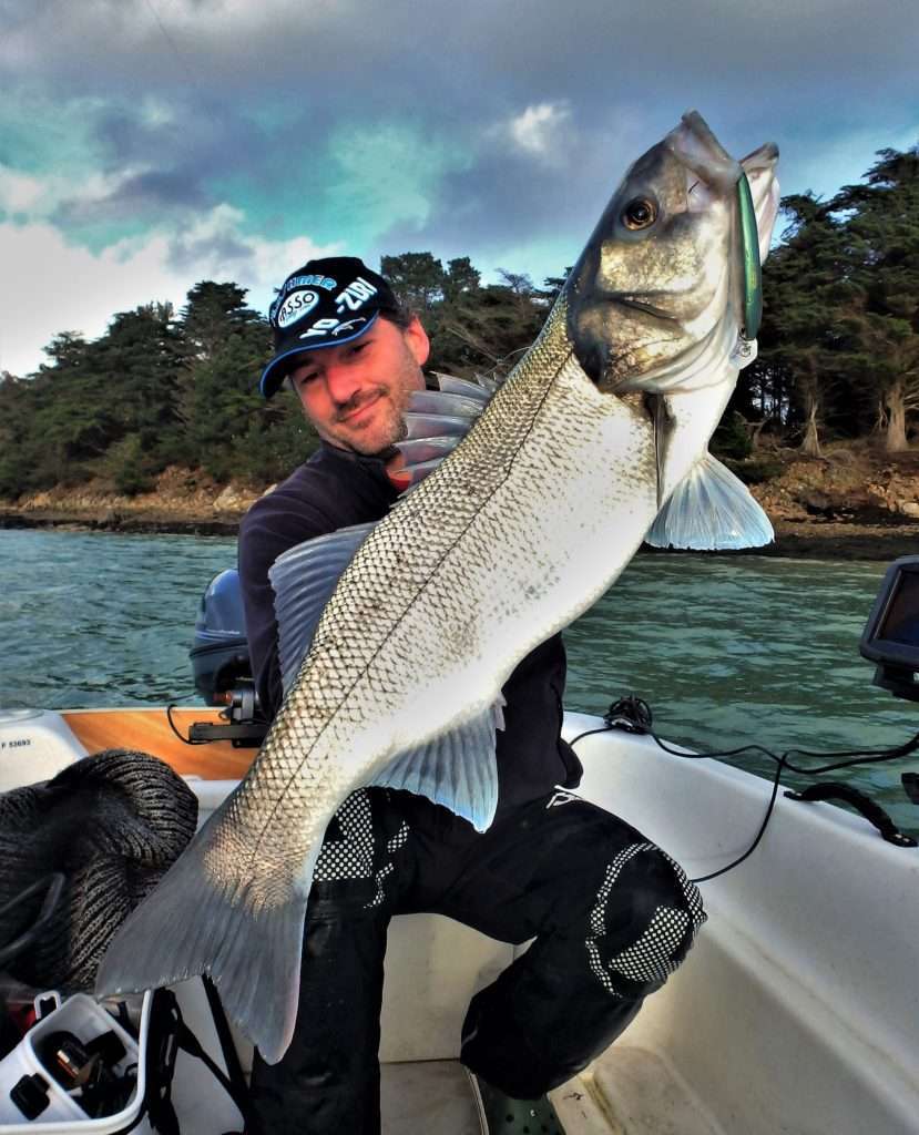 La nage puissante du 3DR Minnow sélectionne les spécimens