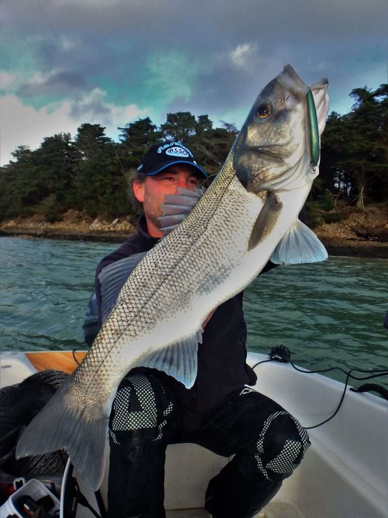 La nage puissante du 3DR Minnow sélectionne les spécimens