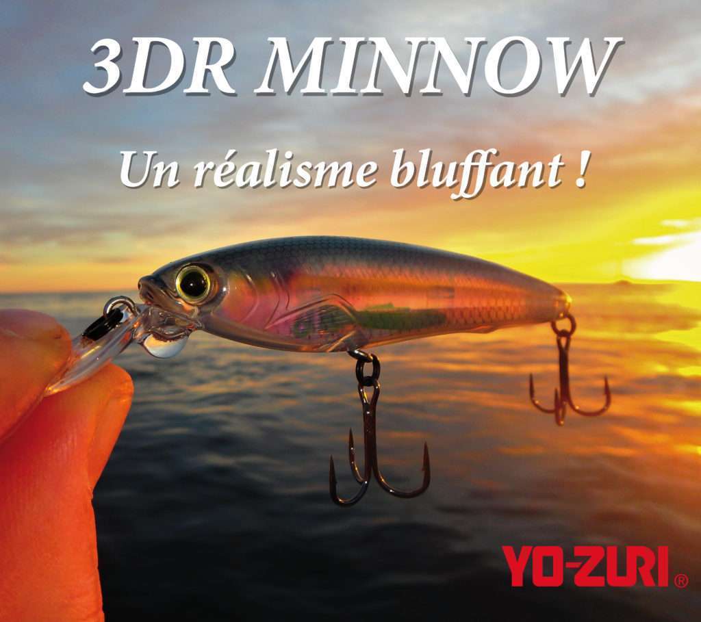 3DR Minnow : un réalisme bluffant ! 