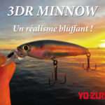 3DR Minnow Yo-Zuri : un jerkbait au réalisme bluffant !