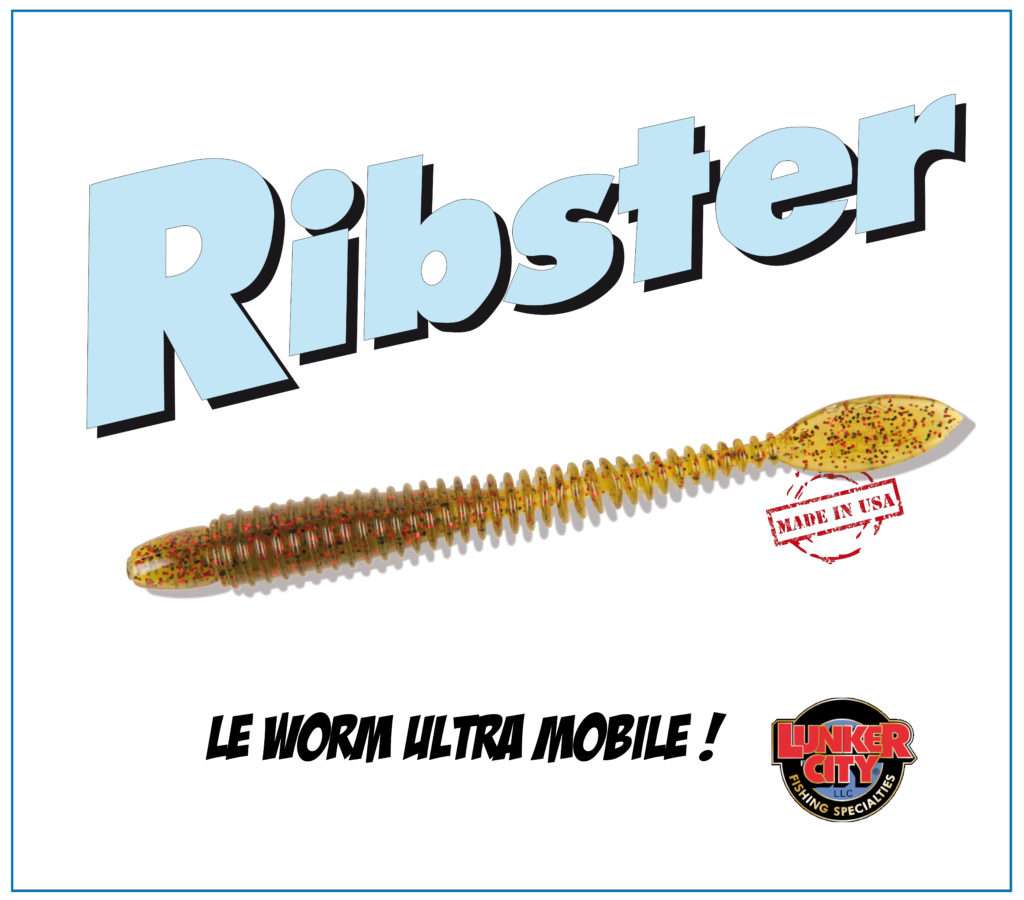 Le Ribster Lunker City : un worm ultra mobile ! 