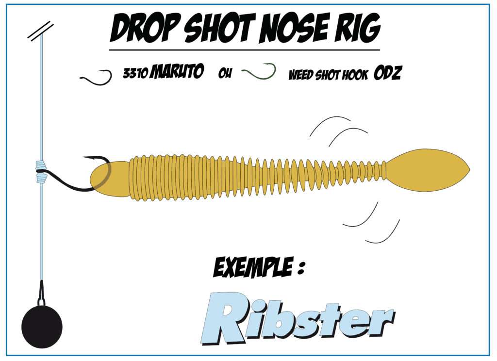 Montage drop shot nose rig avec un Ribster Lunker City