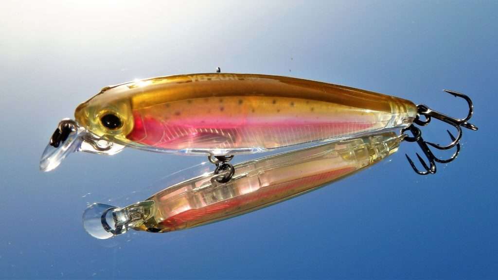 3DR Minnow couleur Rainbow Trout 