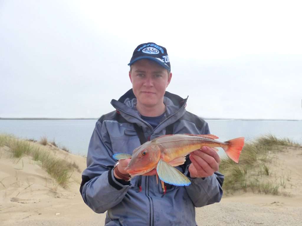 Louis Cache, testeur Flashmer avec un beau rouget grondin pris au Ribster