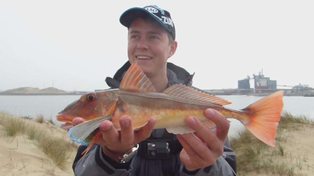 Louis Cache, testeur Flashmer avec un beau rouget grondin pris au Ribster