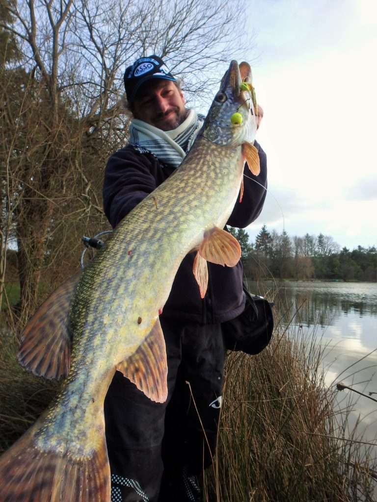 Le 3DB Knuckle Bait Yo-Zuri est excellent pour la pêche des beaux brochets !