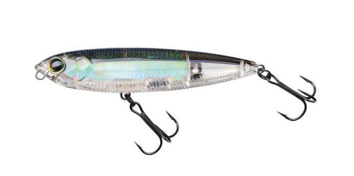 3DR Pencil coloris Gizzard shad