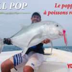 Bull Pop Yo-Zuri : le Surface Bull nouvelle génération !