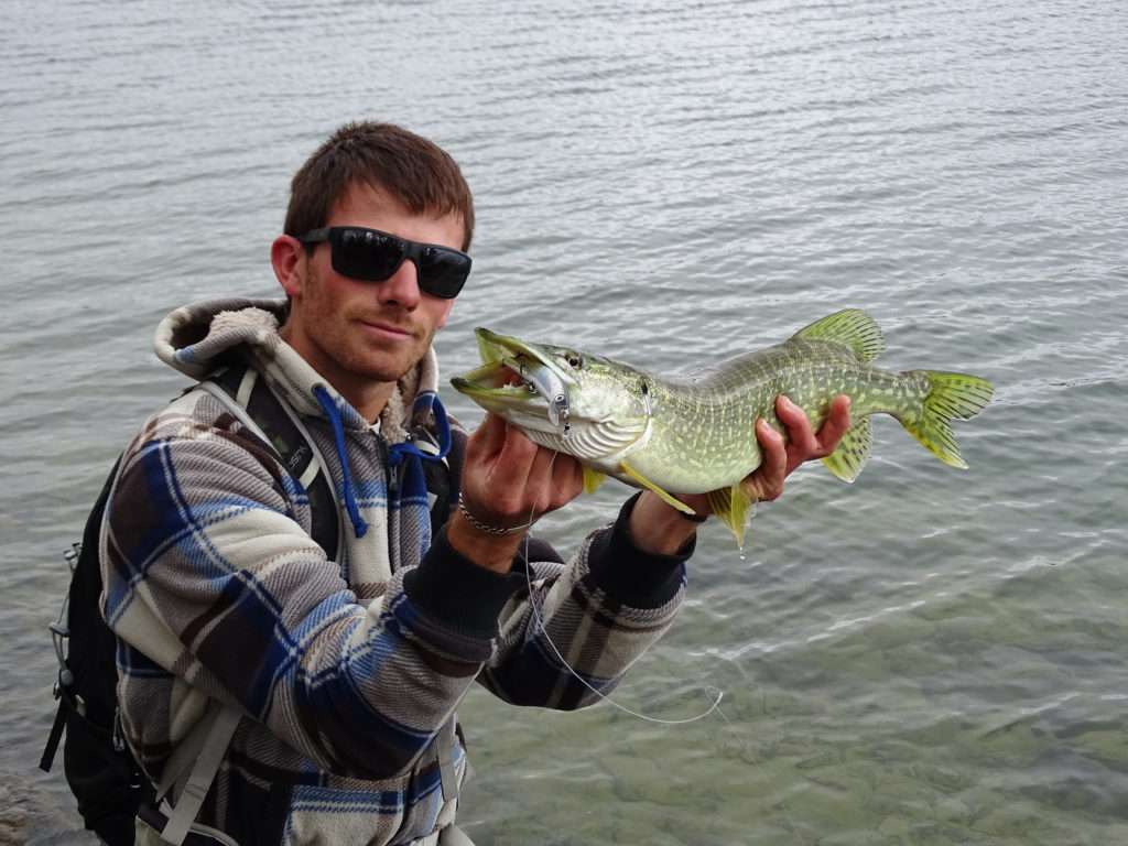 Brochet pris par colin au Crystal Laser Yo-Zuri coloris dos noir