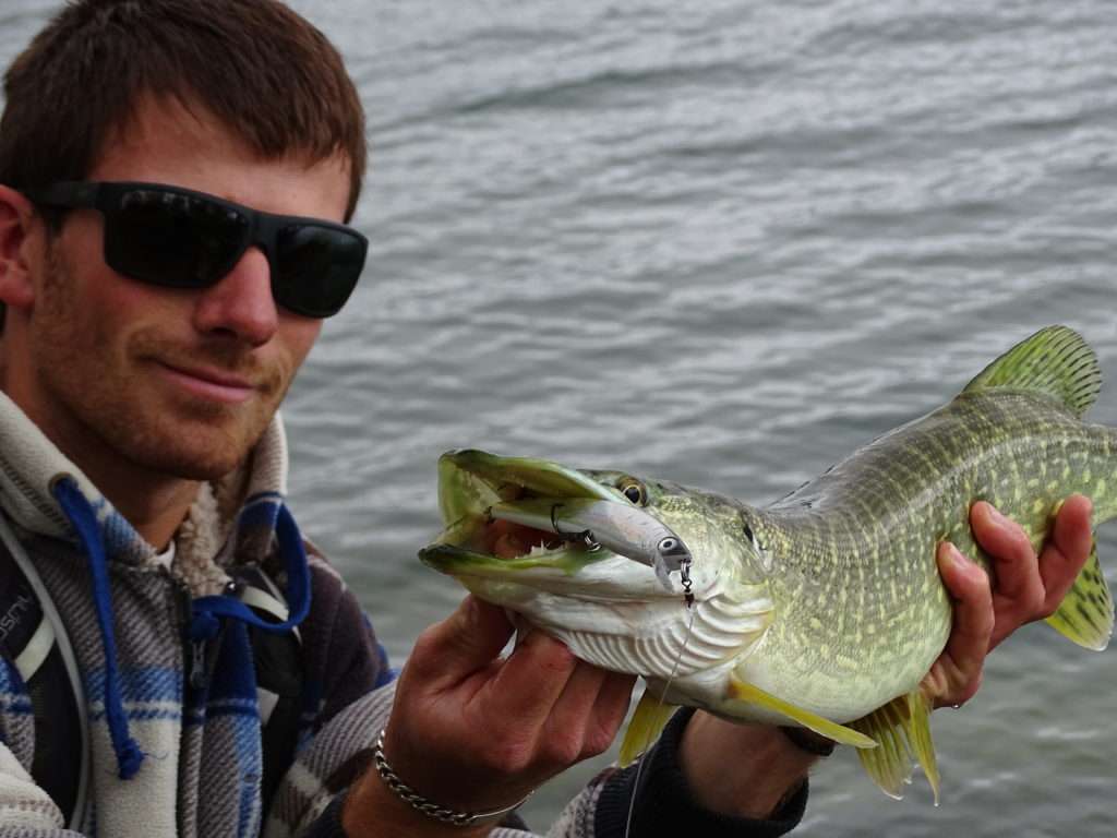 Brochet pris par colin au Crystal Laser Yo-Zuri coloris dos noir