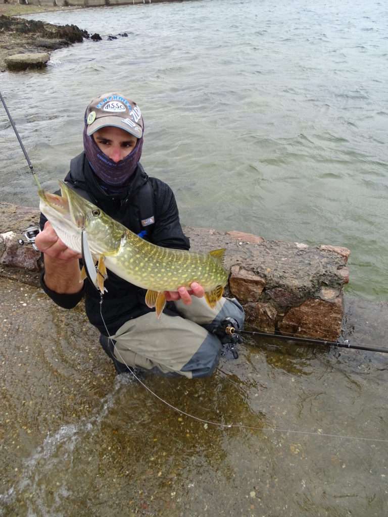 Beau brochet pris au Crystal Laser Yo-Zuri par Etienne Goletto !