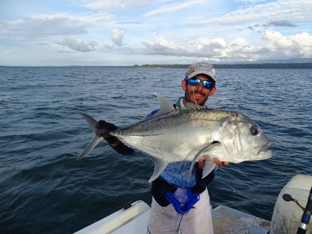 Carangue taguée puis relâchée