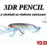 3DR Pencil : le stickbait au réalisme saisissant !