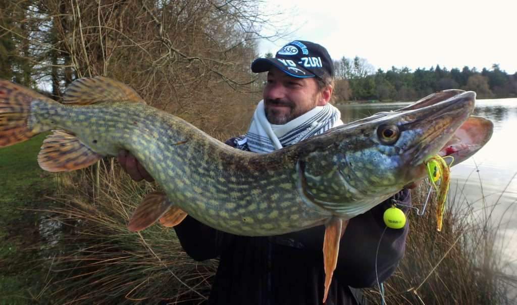 Le 3DB Knuckle Bait Yo-Zuri est excellent pour la pêche des beaux brochets !