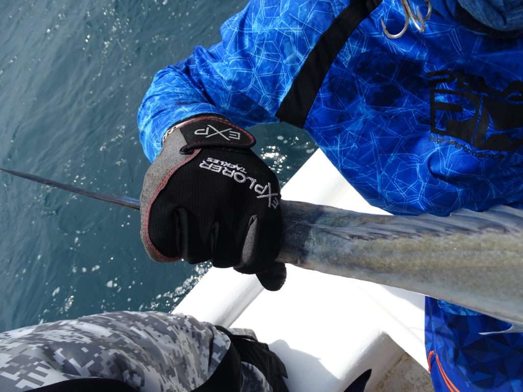 La prise des poissons avec des gants est sécurisante