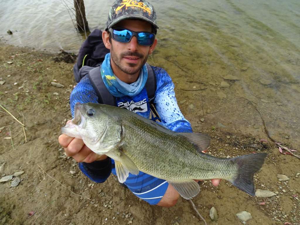 Black bass pris par Etienne au ras de la berge