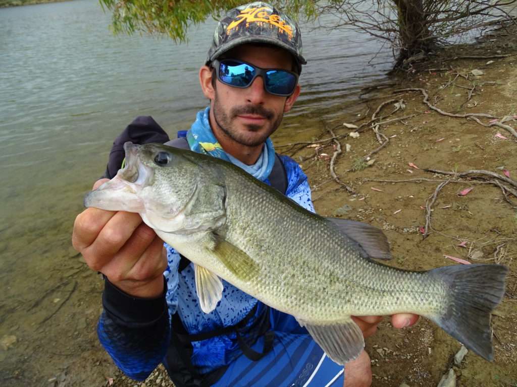 Dans les rives en pente douce,  un crankbait comme le 3DR Wake Bait est très efficace ! 