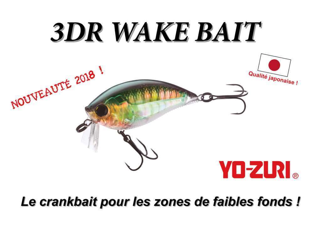 3DR Wake Bait : spécial zones de faibles fonds