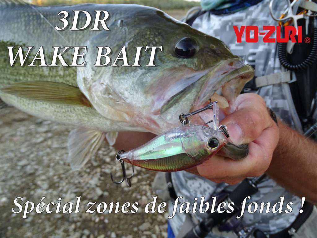 3DR Wake Bait : spécial zones de faibles fonds