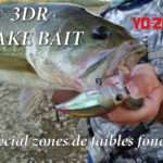 3DR Wake Bait : le crankbait pour les zones de faibles fonds !