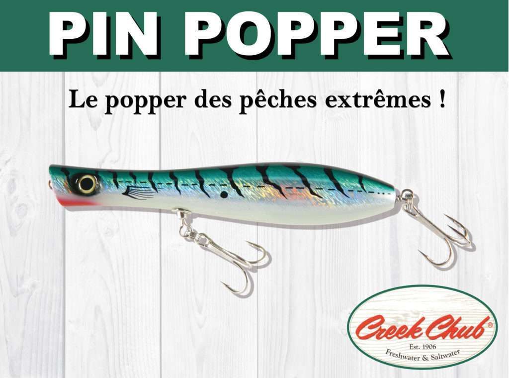 Pin Popper Creek Chub : le popper des pêches extrêmes