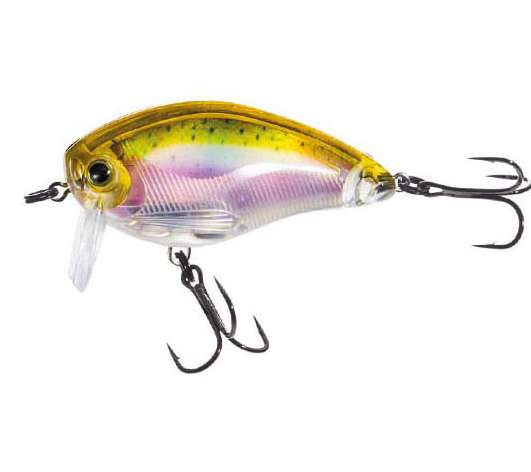 3DR Wake Bait coloris Rainbow Trout