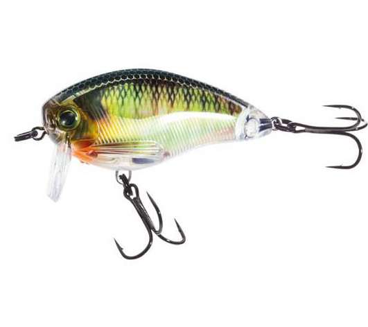 3DR Wake Bait coloris bluegill