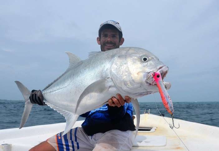 Carangue GT prise au Bull Pop