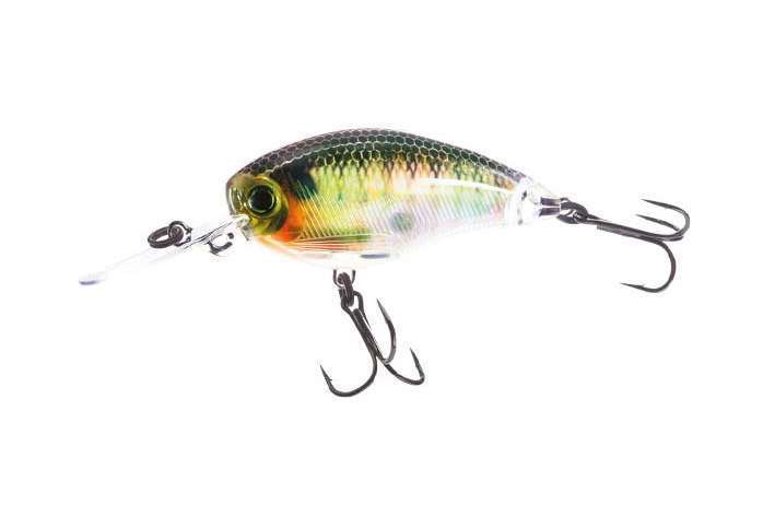 3DR Mid Crank coloris Bluegill