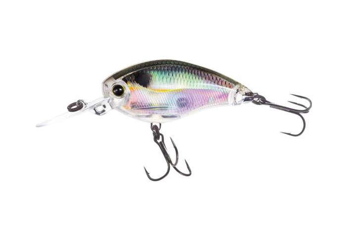 3DR Mid Crank coloris Gizzard Shad