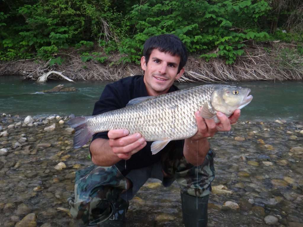 Le Cheyenne est un poisson qui « dépote » sur ligne fine ! 