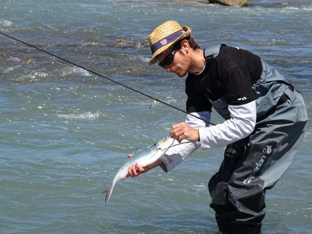 Colin et une belle alose prise au Crappie Dapper